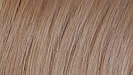 Ash Blonde Natural Hair Dye Hair dye sample image