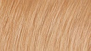 Naturtint Permanent Natural Hair Colour - 8N Wheat Germ Blonde